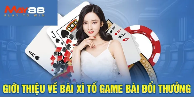 Xì Tố Là Gì? Chi Tiết Luật Chơi Chuẩn Tại May88